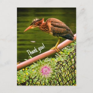 Een groene reiger feestdagenkaart