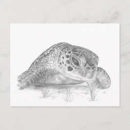 Een groene zeeschildpad in grijstinten briefkaart