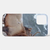 EEN GROEP DEERS Case-Mate iPhone CASE (Achterkant (horizontaal))