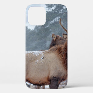 EEN GROEP DEERS iPhone 12 HOESJE
