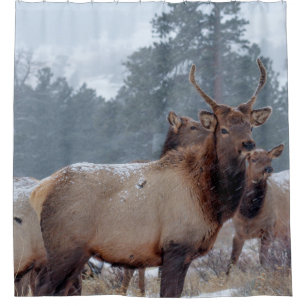 EEN GROEP DEERS DOUCHEGORDIJN