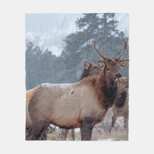 EEN GROEP DEERS FLEECE DEKEN (Voorkant)