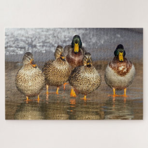 Een groep eenden foto legpuzzel