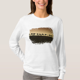 Een groep kameelherders met hun kamelen t-shirt
