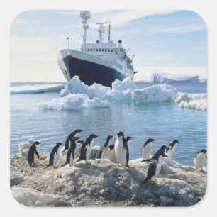 Een groep pinguïns die op een valkuil staan vierkante sticker