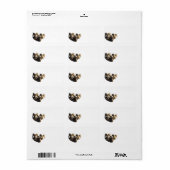 Een groep rammen etiket (Full Sheet)