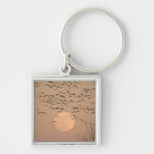 Een groep trekkende sneeuwganzen, Grus Sleutelhanger