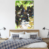 Een groep van Swallowtails Canvas Afdruk (Insitu (Slaapkamer))