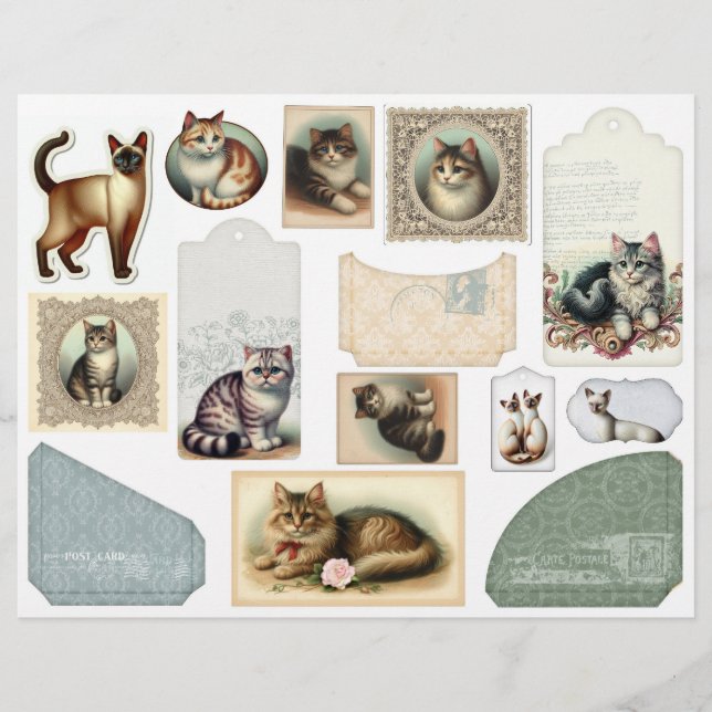 Een grote envelop plus  katten in Lacy-Lijsten (Voorkant)