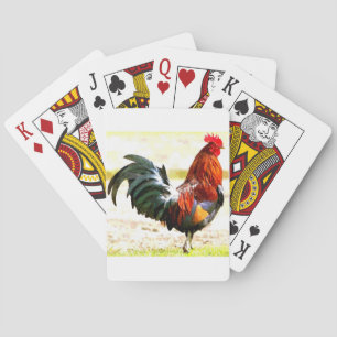 Een Haan Pokerkaarten