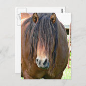 Een haarsnit nodig briefkaart (Voorkant / Achterkant)