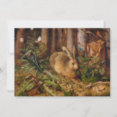 Een haas in het bos | Hans Hoffmann (Voorkant)