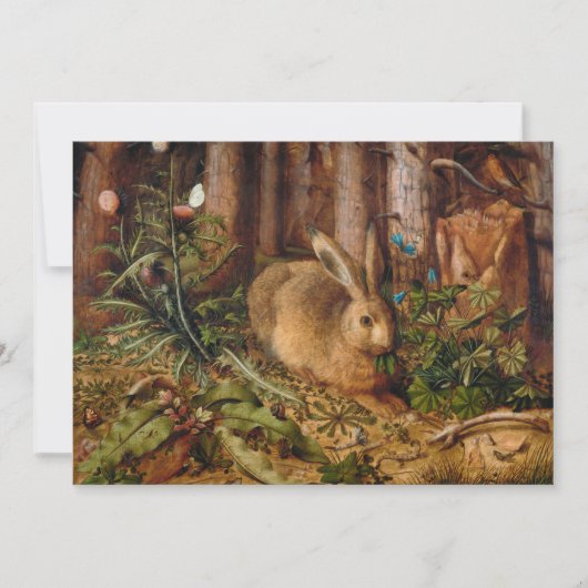 Een haas in het bos | Hans Hoffmann (Voorkant)