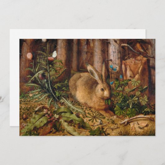 Een haas in het bos | Hans Hoffmann (Voorkant / Achterkant)