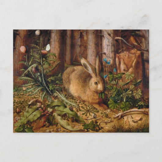 Een haas in het bos | Hans Hoffmann Briefkaart (Voorkant)