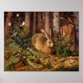Een haas in het bos | Hans Hoffmann Poster (Voorkant)