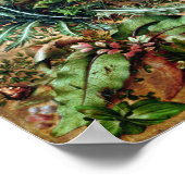 Een haas in het bos poster (Hoek)