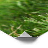 Een Happy and Energetic Pembroke Welsh Corgi Puppy Poster (Hoek)