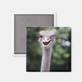 Eén Happy Ostrich koelkast magnet Magneet (Voorkant / Achterkant)