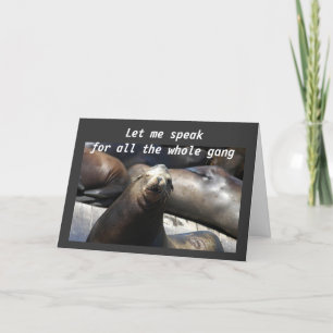 EEN HAREM VAN SEALS VOOR UW 40ste Kaart