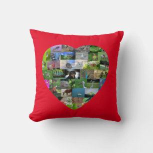 Een hart voor dieren - in rood kussen
