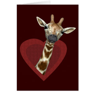 Een hart voor Giraffes