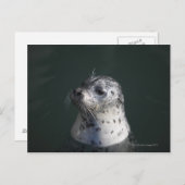 Een havenzegel briefkaart (Voorkant / Achterkant)