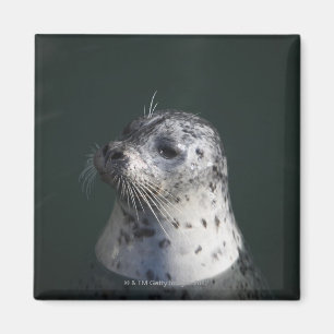 Een havenzegel magneet