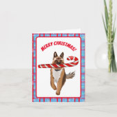 Een heel Duitse-herder-candystickerstmis Kaart (Voorkant)