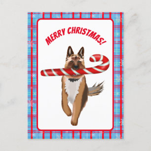 Een heel Duitse Herders Kerst Kandijstok Kerstmis Briefkaart