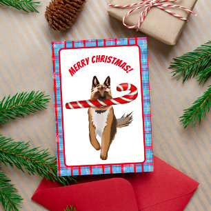 Een heel Duitse-herdershond Kandijstok Kerstmis Kaart