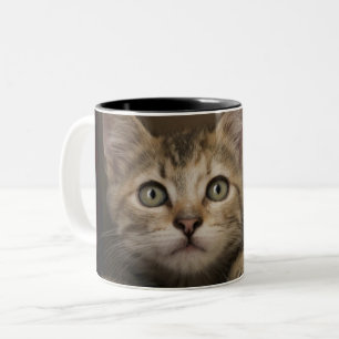 Een heel zoete tablet Kitten Tweekleurige Koffiemok