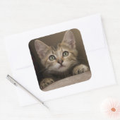 Een heel zoete tablet Kitten Vierkante Sticker (Envelop)
