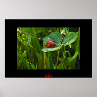 Een heerlijke St. Patricks Dag Poster