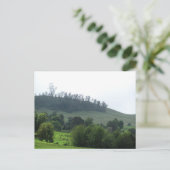 Een heldere patch Upcountry Briefkaart (Staand voorkant)