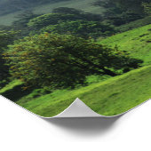 Een heldere patch Upcountry Poster (Hoek)