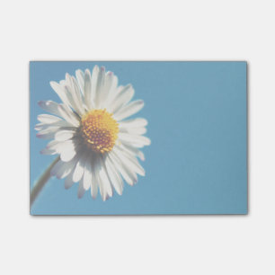 Een heldere Witte Daisy onder een Big Blue Sky Post-it® Notes