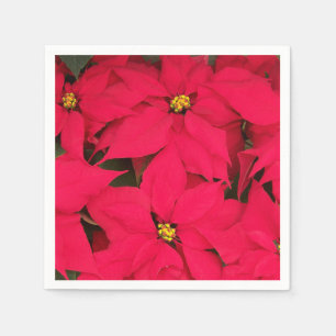 Een heleboel heldergekleurde kerst-Poinsettias Servet