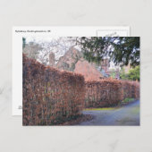 Een herfst dag briefkaart (Voorkant / Achterkant)