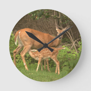 Een hinde en haar fawn ronde klok