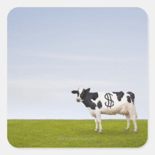 Een Holstein-melkkoe met vlekken in de vorm van Vierkante Sticker