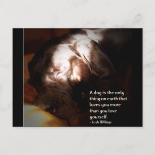 Een hond... briefkaart