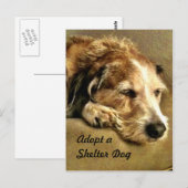Een hond-Briefkaart aannemen Briefkaart (Voorkant / Achterkant)