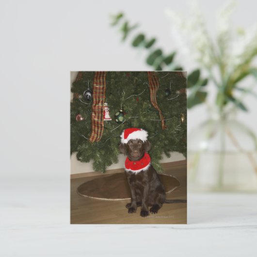 Een hond die bij een kerstboom zit feestdagenkaart (Staand voorkant)