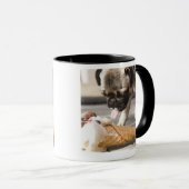 Een hond die een ijsje uit een bedekking eet mok (Voorkant rechts)