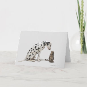 Een hond die naar een kat kijkt kaart