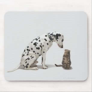 Een hond die naar een kat kijkt muismat