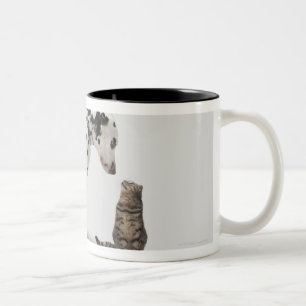 Een hond die naar een kat kijkt tweekleurige koffiemok