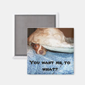 Een hond genaamd Mia Magneet (Voorkant / Achterkant)