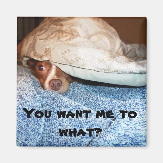 Een hond genaamd Mia Magneet (Voorkant)